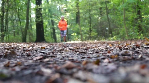 Defocused jogger running through forest in autumn Stock Footage 68766726