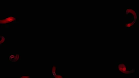 Defocused lamp flash rays effect. Stock-Footage 172427058