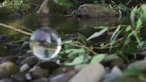 A defocused lensball on a sharp river background. Water bubble on the river. Stock Footage 316833016