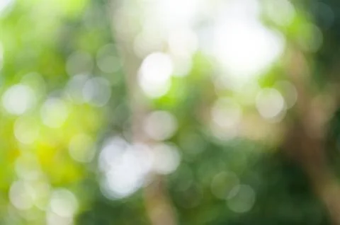 Defocused light blurry Stock Photos