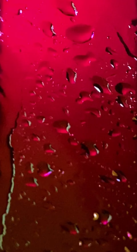 Defocused lights behind raindrops Stock Footage 262264681