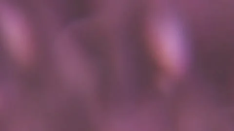 Defocused luminous reflection light texture flash Stock Footage 342087700
