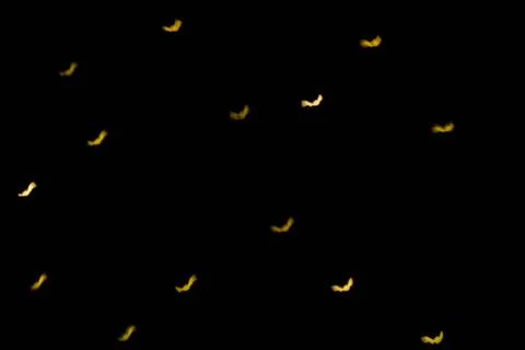 Defocused multicolor bokeh lights in shape of bats for halloween background. Foto stock