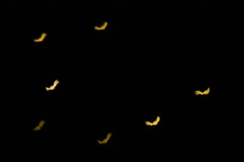Defocused multicolor bokeh lights in shape of bats for halloween background. Stock Photos