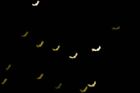 Defocused multicolor bokeh lights in shape of bats for halloween background. Stock Photos
