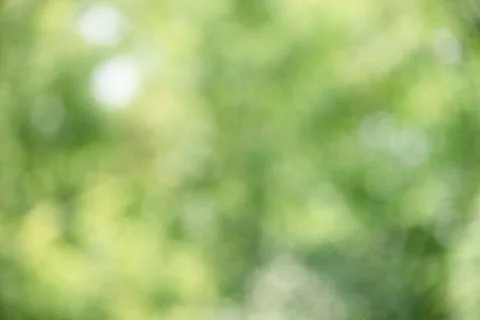 Defocused natural background blurred tree. Natural defocus light. Foto stock