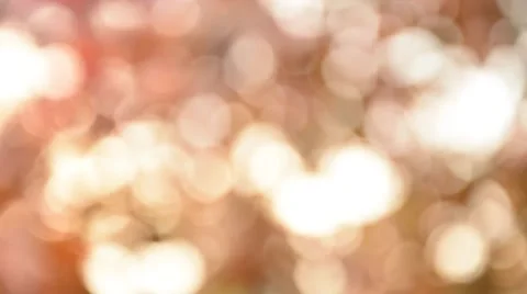 Defocused nature background Stock Footage 44636868