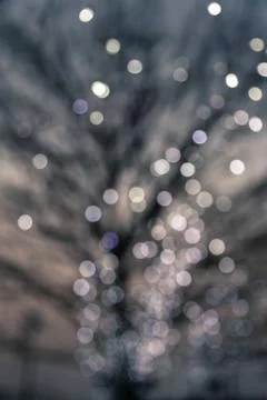 Defocused night lights on a deciduous tree Stock Photos