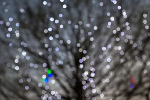 Defocused night lights with deciduous tree on background Stock Photos