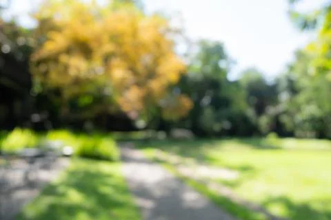 Defocused or blur with bokeh background of garden trees in sunny day Stock Photos