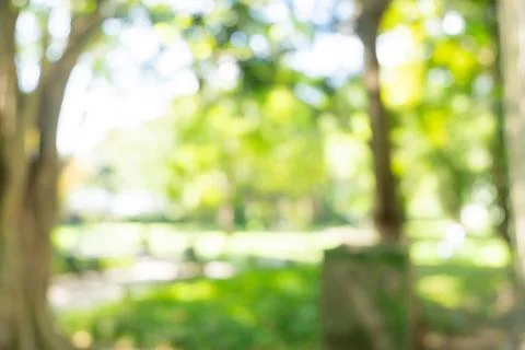 Defocused or blur with bokeh background of garden trees in sunny day Stock Photos