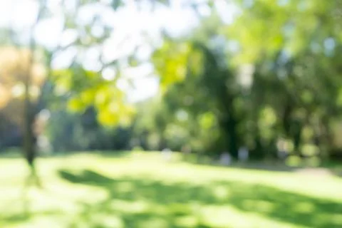 Defocused or blur with bokeh background of garden trees in sunny day Stock Photos
