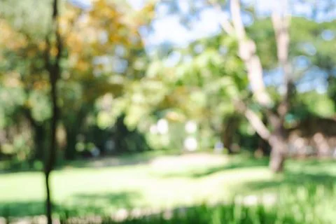 Defocused or blur with bokeh background of garden trees in sunny day Stock Photos