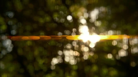 Defocused overlay, summer background leaves bokeh, sun ray. cinematic Stock-Footage 279005325