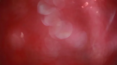 Defocused red abstract bokeh. Stock Footage 86153453
