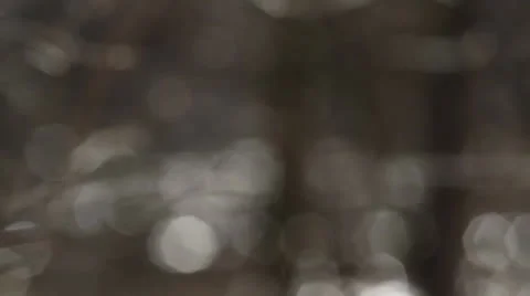 Defocused river 動画素材 22780076