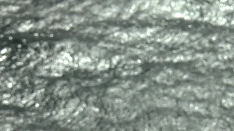 Defocused Sea Barbados Stock Footage 107790098
