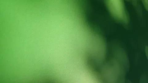 Defocused shadows from tree leaves on green background moving on a windy weather Stock-Footage 300380006