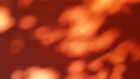 Defocused shadows from tree leaves on orange background moving Stock-Footage 300377917