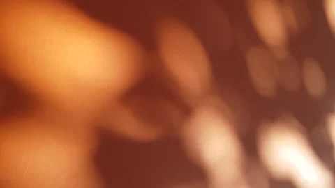 Defocused shadows from tree leaves on peach background moving Stock-Footage 300381176