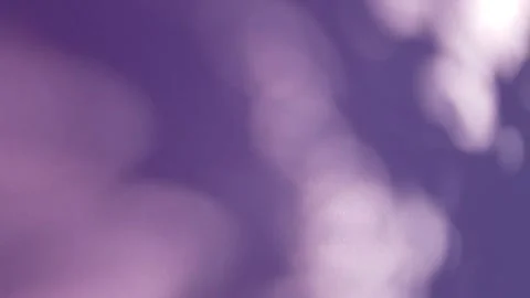 Defocused shadows from tree leaves on purple background moving Stock-Footage 300380885