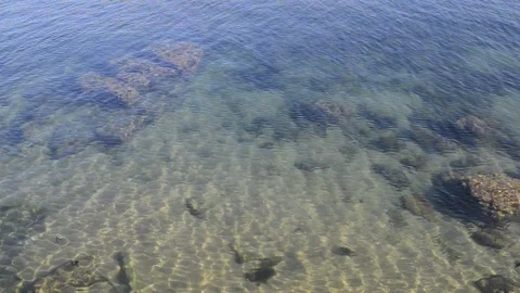 Defocused shallow clean turquoise water background Stock Footage 93649745