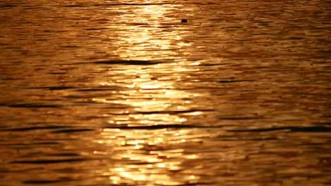 Defocused shot of small ripple wave in sea, shiny sparkling sunlight reflecti Stock Footage 130588171