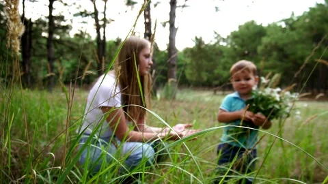 Defocused slow motion view on little toddler boy messing up wonderful wild Stock Footage 104146918