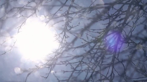 Defocused snowfall with sparkling snowflakes, sun in frame and leafless branches Stock Footage 87872070