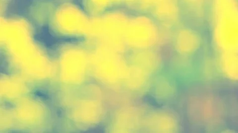 Defocused spring background. Vídeos de archivo 62812808