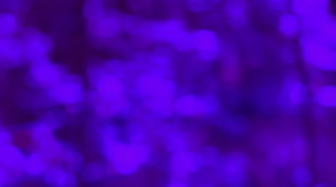 Defocused spring background. Stock-Footage 62901944