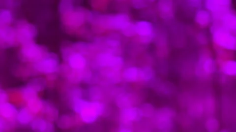Defocused spring background. Stock-Footage 62901953