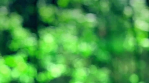 Defocused spring background. Stock Footage 62901974