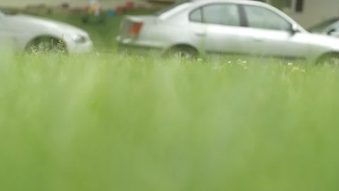 Defocused Suburb Grass Lawn  Stock Footage 86258132