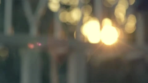 Defocused sunset. Sun rays through trees leaves and verandah grills  Stock Footage 202275157