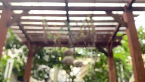 Defocused swaying in the breeze Stock Footage 321924815