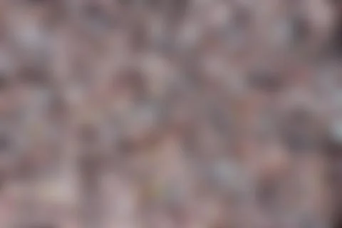 Defocused texture background for your design Stock Photos