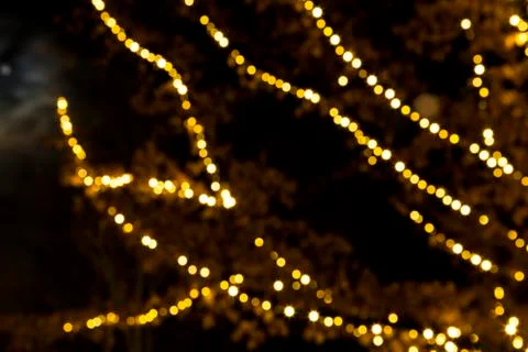 Defocused tree branches decorated with strings of christmas lights Stock Photos