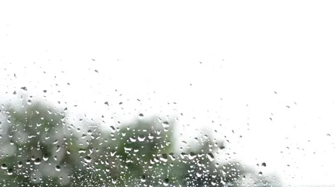 Defocused tree, rain drops on the window Stock Footage 52695112