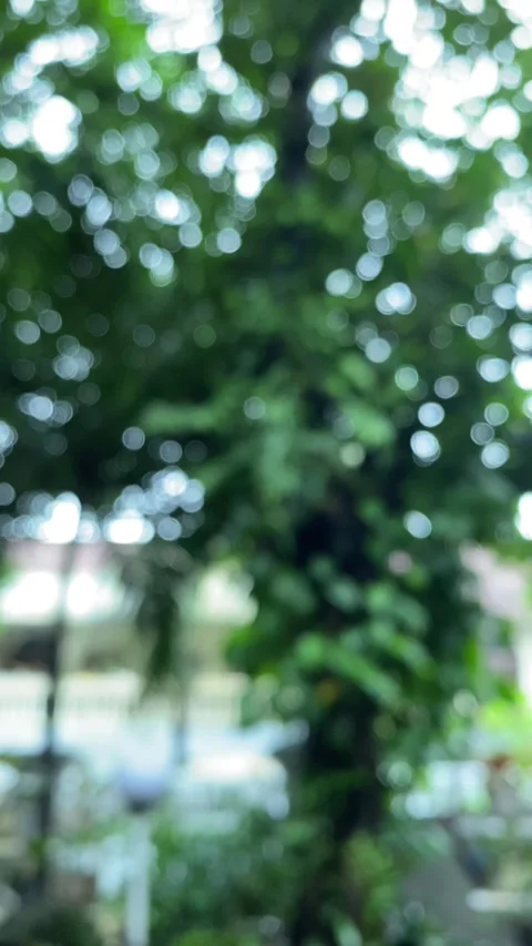 Defocused video Stock Footage 327296178