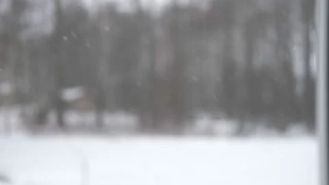 Defocused video of Heavy snowfall at forest. View from Window. Cozy Home 動画素材 229851450