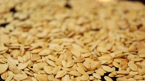 Defocused video of scattered across the baking sheet roasted pumpkin seeds in Stock Footage 218441988