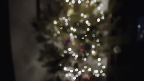 Defocused view of a beautiful Christmas tree. Stock Footage 167661210