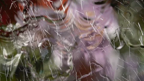Defocused view of summer garden background through wet window. Stock Footage 99143499