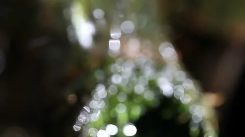 Defocused water flow Stock Footage 24897162