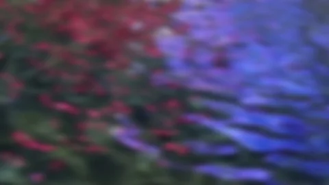 Defocused Water with Neon Lights Reflected in Rippling Pool Stock Footage 98024345