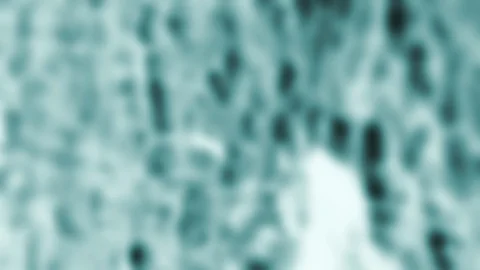 Defocused x ray graphics element tilt down slow motion on wood birch Stock Footage 130154444