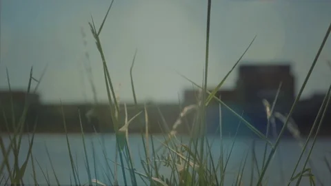 Defocusing. Cargo shipping sea container ship Stock Footage 89916886