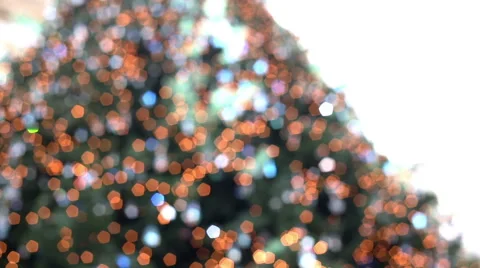 Defocusing christmas tree with nice colors and lights Stock-Footage 58088040