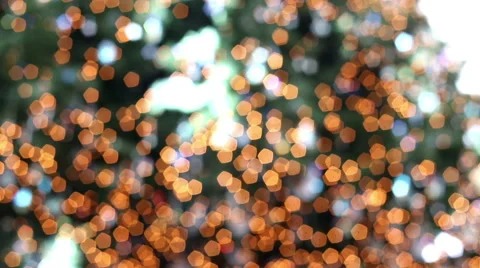 Defocusing christmas tree with nice colors and lights Stock-Footage 58088179